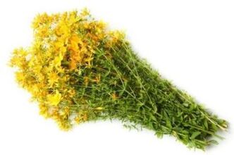 მწვანილი